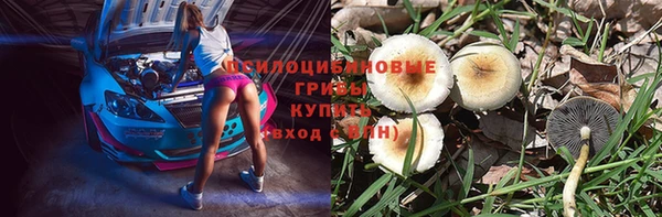 гидра Алзамай