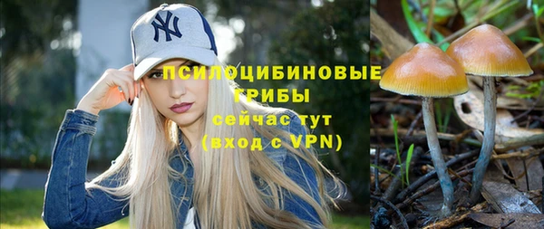 соль курить ск Алексин